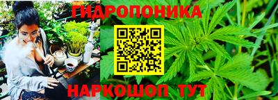 марихуана Аргун