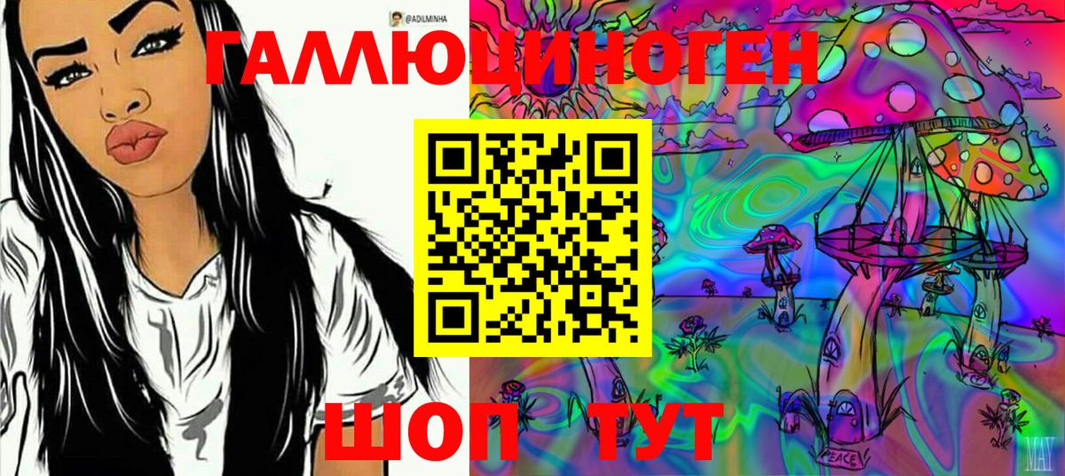 купить наркотик  Вход с VPN  Белая Калитва  Псилоцибиновые грибы GOLDEN TEACHER 