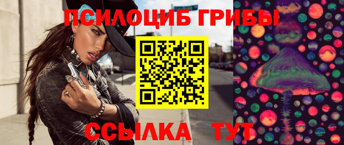 Галлюциногенные грибы мицелий Белая Калитва